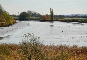 Binnenelbe 1 Binnenelbe 1