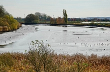 Binnenelbe 1 Binnenelbe 1